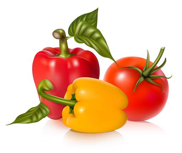 میوه و تره بار